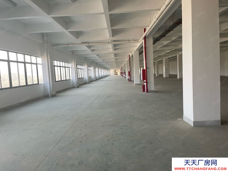 (出租) 福州福清城头标准厂房整栋5200平出租，鞋厂家具，钢构1500