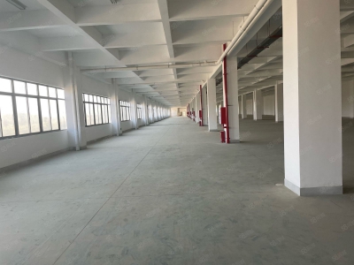 (出租) 福州福清城头标准厂房整栋5200平出租，鞋厂家具，钢构1500图3