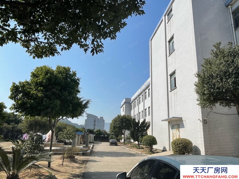(出租) 福州福清城头标准厂房整栋5200平出租，鞋厂家具，钢构1500
