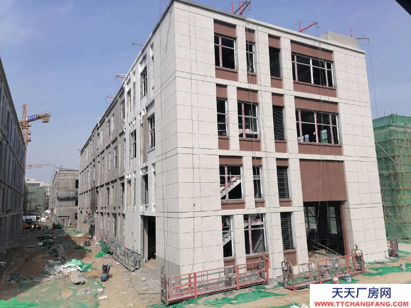 济南天桥 创新谷地块，新建独栋厂房