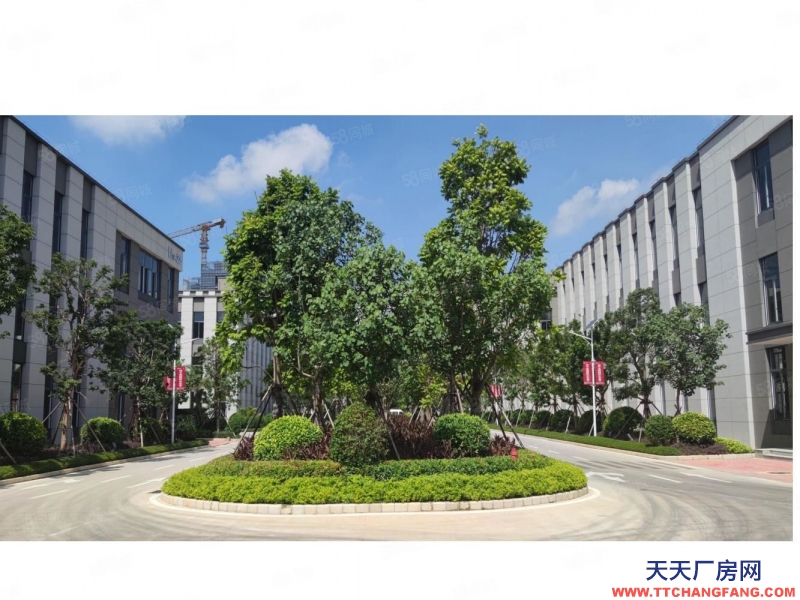 南宁市西乡塘区(出租) 北湖路全新厂房出租，适合办公生产加工仓储，价格美丽，随时用