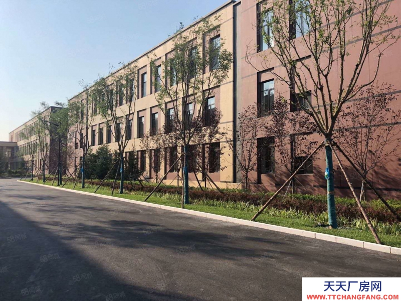 (出售) 厂房 现房 价格低 位置好 2700一平，可议