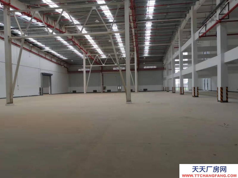 (出租) 南昌红谷滩新区红角洲望城附近厂房带办公