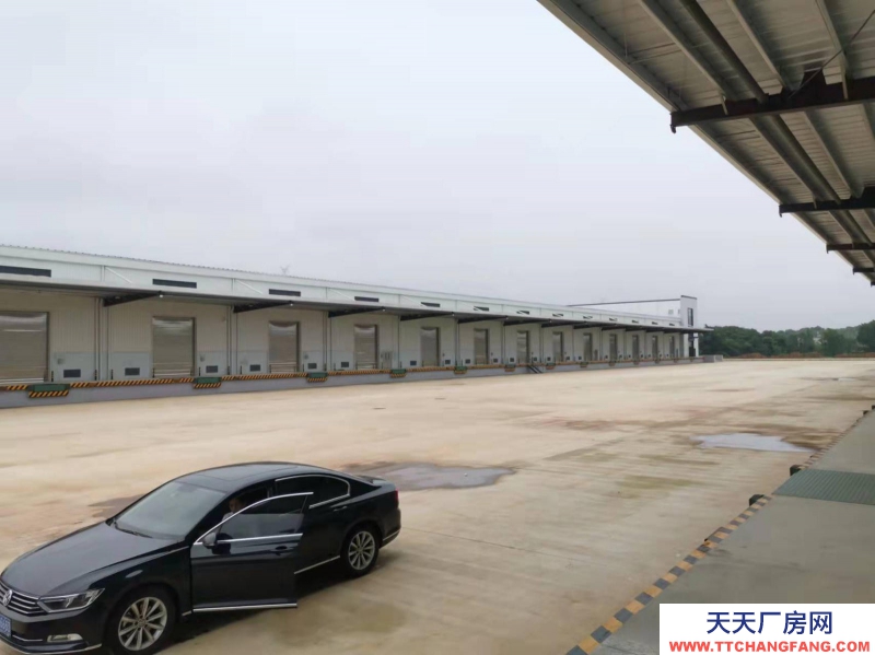 (出租) 南昌红谷滩新区红角洲望城附近厂房带办公