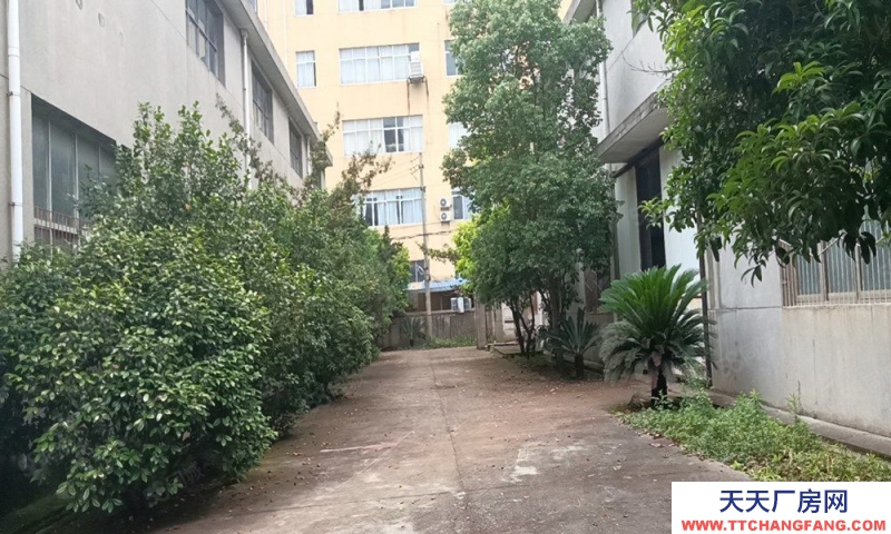 (出租)南昌青山湖区昌东工业园昌丰路标准厂房及空地出租 可合作建厂