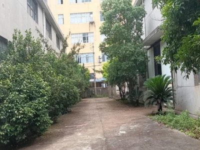 (出租)南昌青山湖区昌东工业园昌丰路标准厂房及空地出租 可合作建厂图3