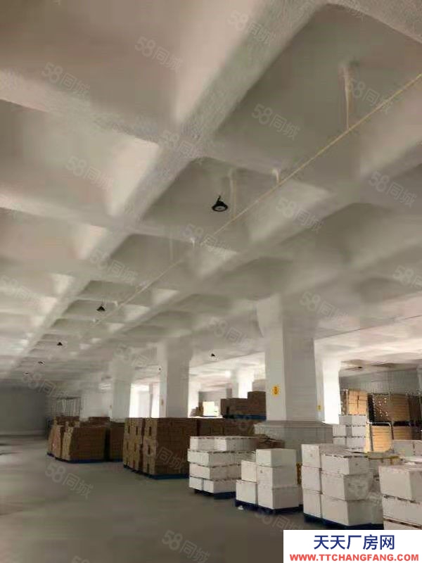 (出租)南昌青山湖区供储物流中心标准仓库冷库招租