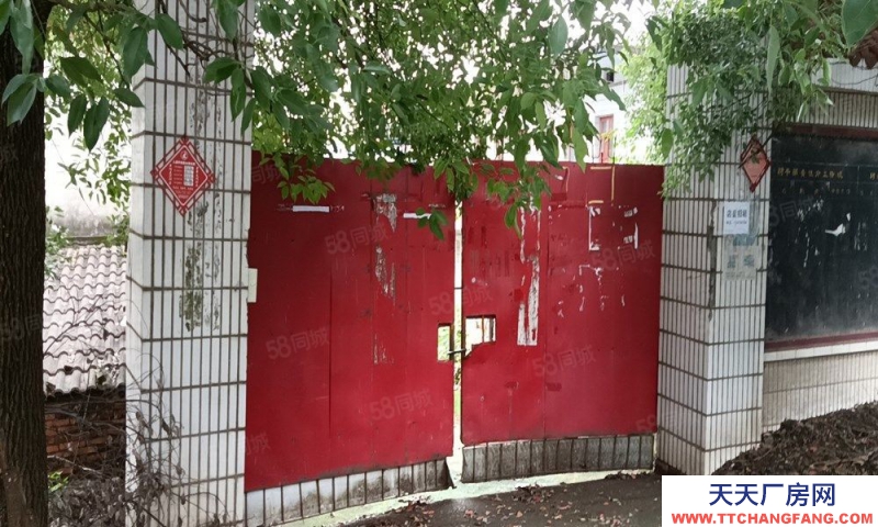 (出租)南昌东湖区扬子洲南江路村委会公交站独院厂房仓库出租