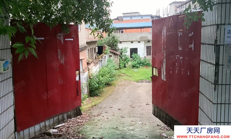 (出租)南昌东湖区扬子洲南江路村委会公交站独院厂房仓库出租