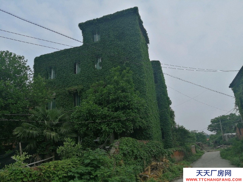(出租) 南昌东湖区独栋民房，可做仓库或小型加工价格实惠。