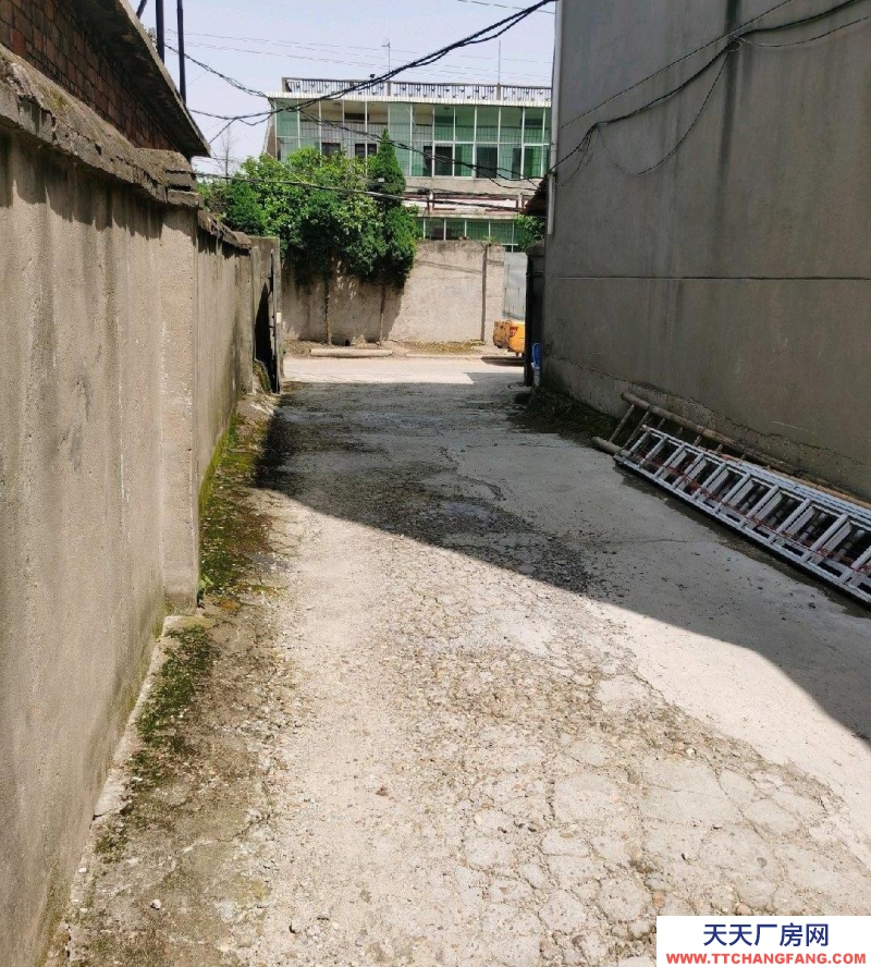 (出租) 南昌东湖区厂房1000平。可分租。进大车，距市中心5车程