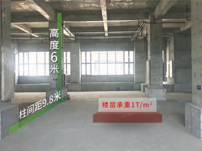 (出租) 出租医药器械 食品厂房500~3000平米 现房 电梯图1