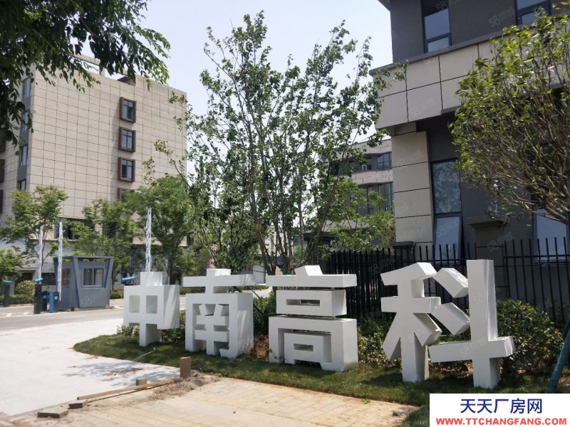 (出售) 企业独栋 研发办公 赠送超大露台 50年产权 机场南国道边