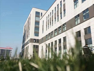 (出售) 郑州金水出售面积500至8000平工业厂房实景现房首付3成图4