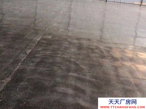 (出租) 郑州惠济区花园口黄河桥东邻花溪路标准钢结构高台库对外招租
