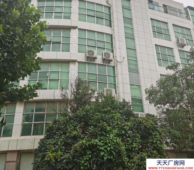 济南天桥二环内独栋工业厂房 实用面积660平 有货梯送露台 个人产权