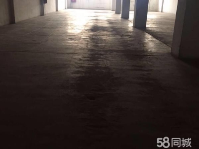 (出租) 郑州金水区南阳路黄河路、仓库1000平可整租可分割图1