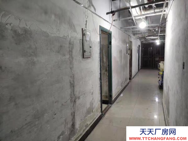 (出租) 郑州金水出租金水大石桥时尚PARTY 可办公可仓库