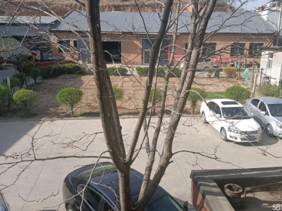 (出租) 有行车，三相电接入，停车便利图1