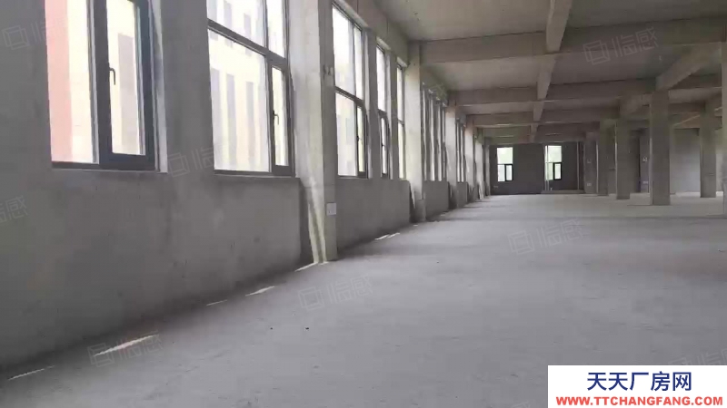 济南长清现房厂房，即买即用，大平层，规整柱距柱网，自由分割内部空间
