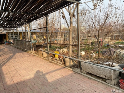济南长清 1200平独院，可做饭店，仓库，私人会所等图1