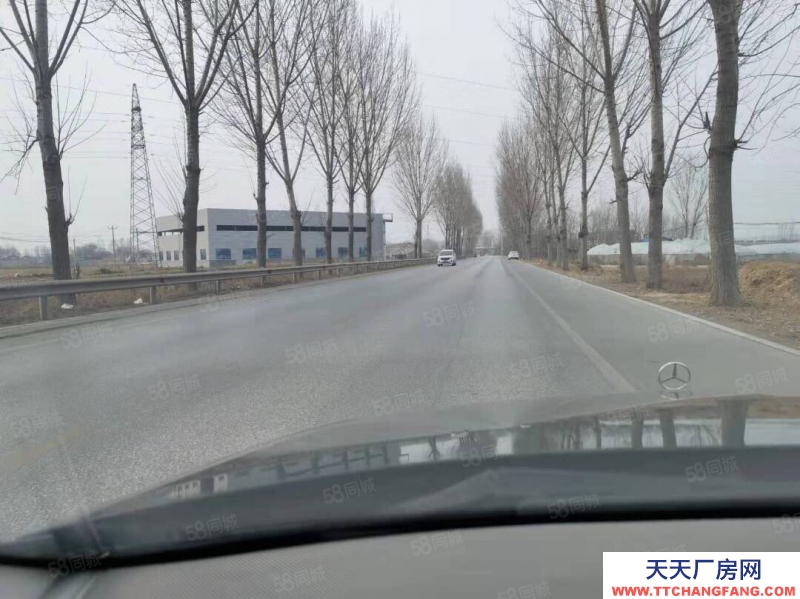 济南济阳出租济阳垛石省道边新建独院厂房