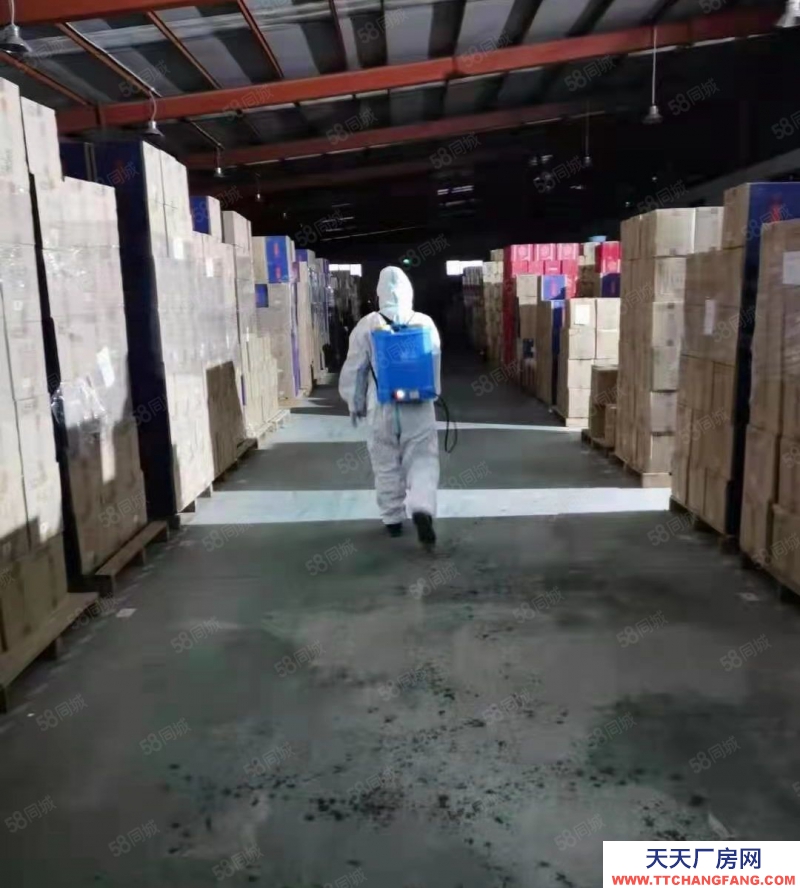石家庄 栾城 美达云仓库房出租 整租，分租线下托管租金面议）