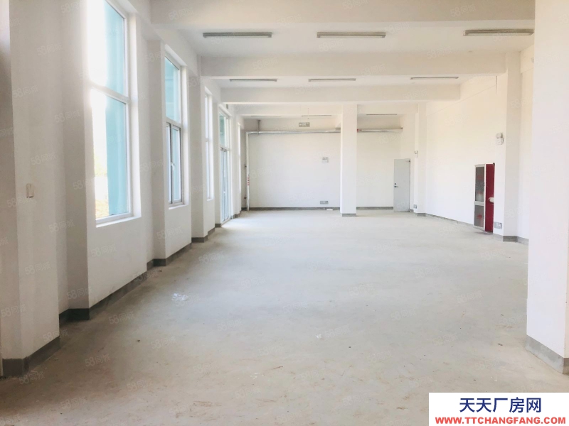 济南济阳出售惊喜单层钢结构 层高12米 跨度27米 现房