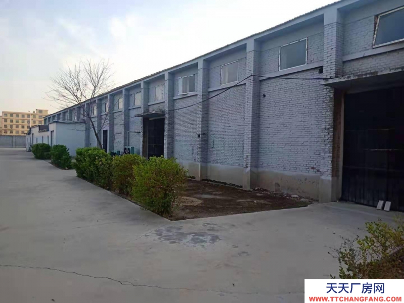 石家庄 行唐城区九都商贸城西南200米路南