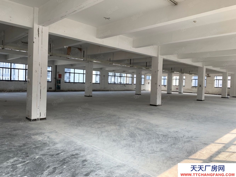 杭州西湖(出租) 三墩西湖科技园 1200方至7000方 带货梯，可生产轻加工
