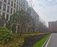 (出售) 武汉洪山区现房1500方独栋厂房开发商直售,首付225万,零公摊