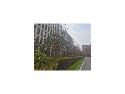(出售) 武汉洪山区现房1500方独栋厂房开发商直售,首付225万,零公摊图2