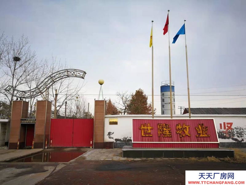 石家庄 高邑  钢结构大空间，厂房库房办公齐全，占地50亩，交通方便
