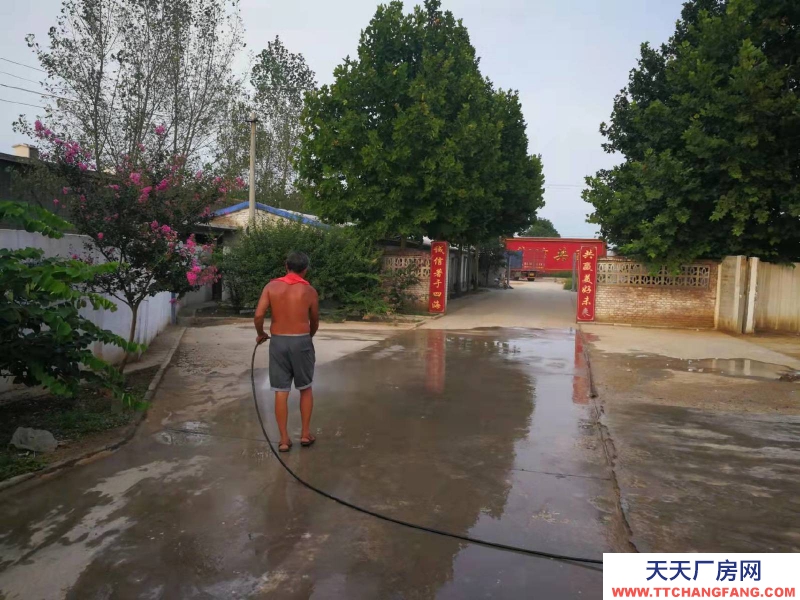 石家庄 高邑  钢结构大空间，厂房库房办公齐全，占地50亩，交通方便