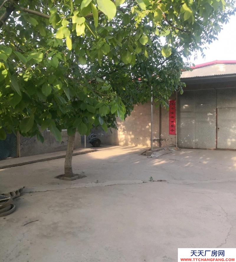 石家庄 高邑 临街厂房仓库，大车进出方便，临近高速口。