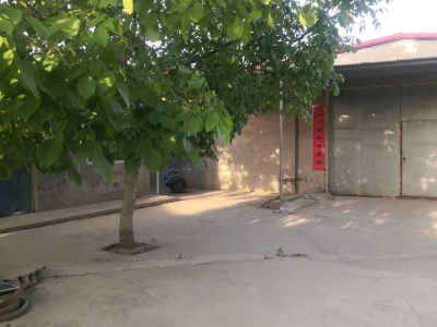 石家庄 高邑 临街厂房仓库，大车进出方便，临近高速口。图2