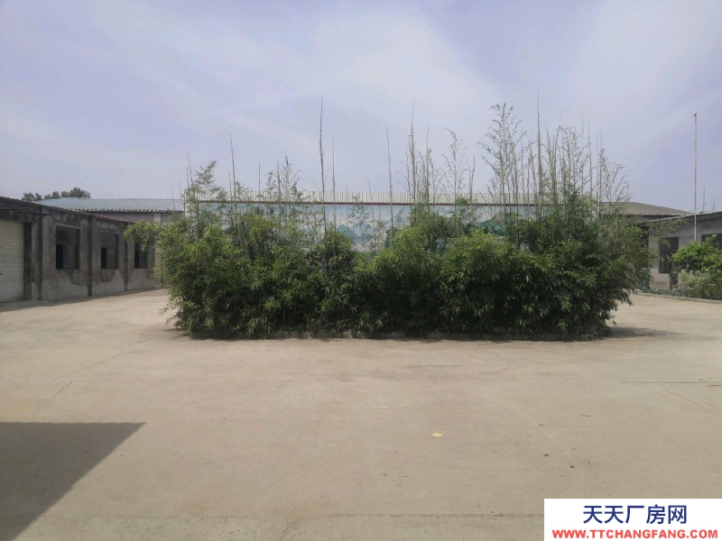 石家庄无极自建厂房，手续齐全，房东直租，价格面议