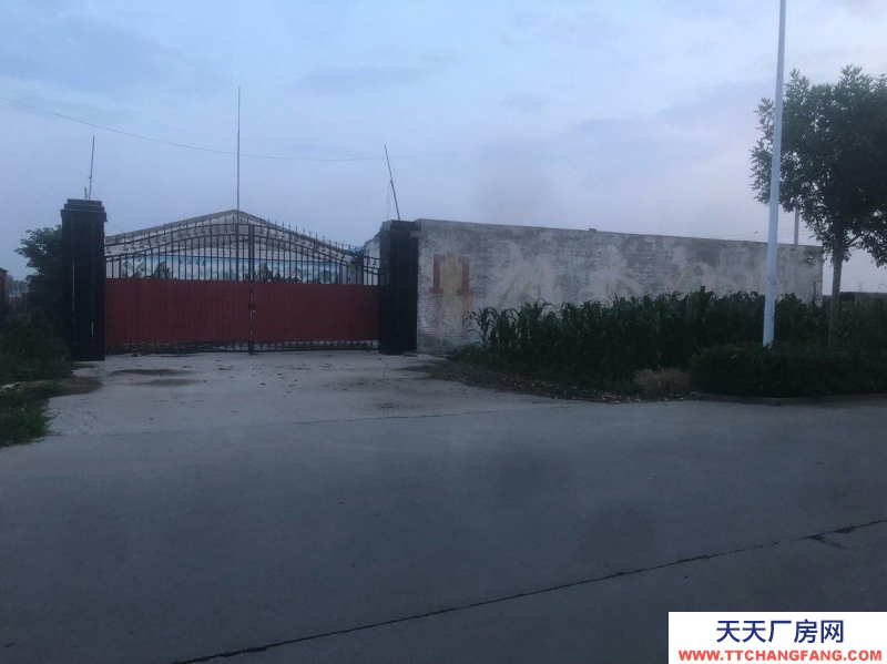 石家庄 无极 交通便利大型车辆可以通行
