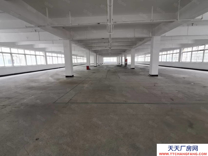 杭州西湖(出租) 西湖科技园新出1450方 可生产 仓储 电商 研发 产证齐全