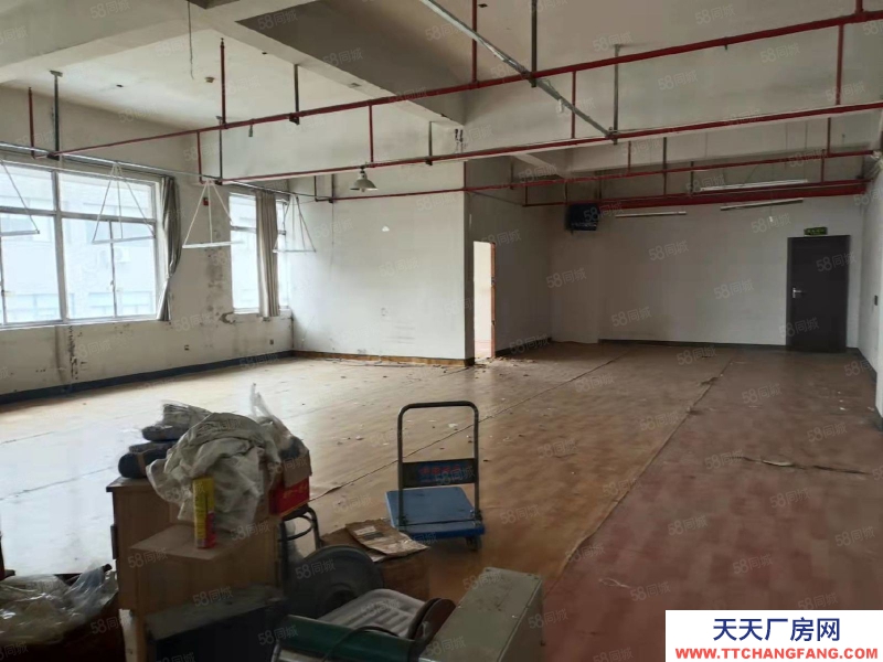杭州西湖(出租) 房东直租 楼上365方仓储加办公 做好的办公隔间 上下货方便