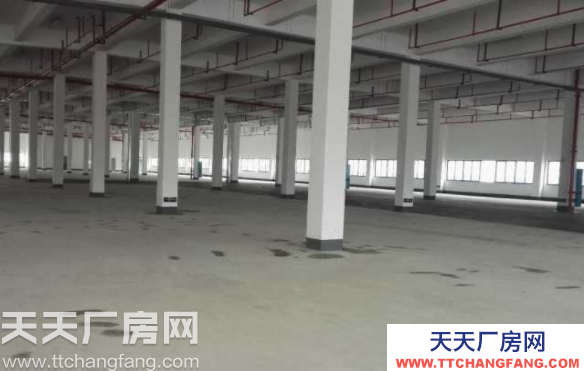 长沙市岳麓区52000平米大面积厂房招租