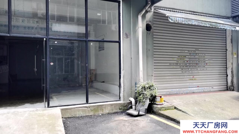 杭州拱墅区(出租) 一楼221方仓库可进大车门口就有停车位卸货方便层高4.5纵深