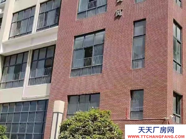 长沙市岳麓区标准混疑土框架结构有标准运动场地招租