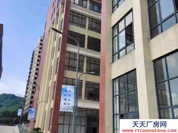 长沙市岳麓区标准混疑土框架结构有标准运动场地招租