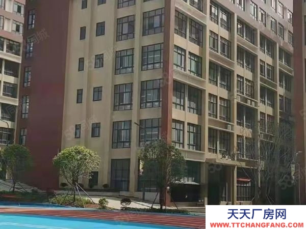 长沙市岳麓区标准混疑土框架结构有标准运动场地招租