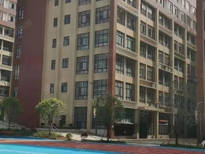 长沙市岳麓区标准混疑土框架结构有标准运动场地招租图4