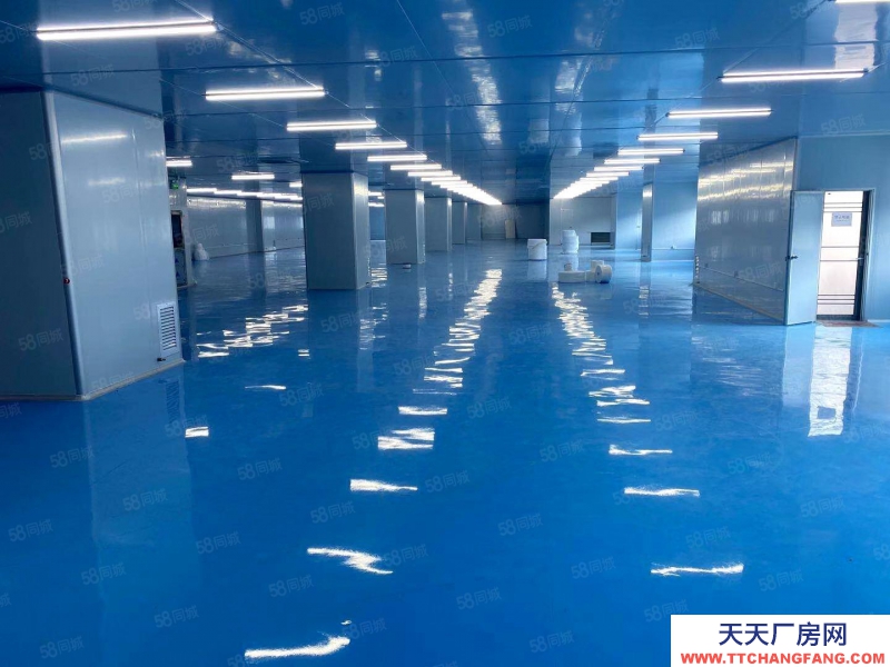 (出租) 广州黄埔可租可卖！单层2000可分租 层高医疗产业园厂房仓库出租