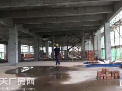 长沙市岳麓区麓谷300-5000平厂房出售图1