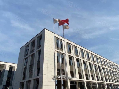 长沙市岳麓区首付60万买 长沙南 地铁口 独栋物业 可做洁净车间4.5米图1