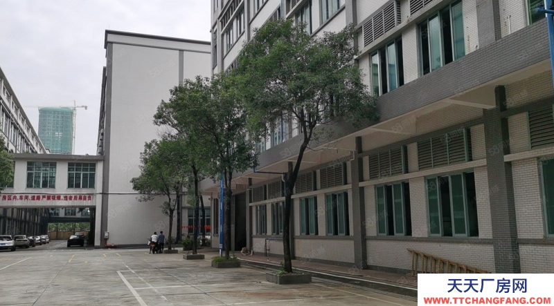 （出售）广州黄埔开发区原房东自有独院国有红本工业厂房诚心出售转让